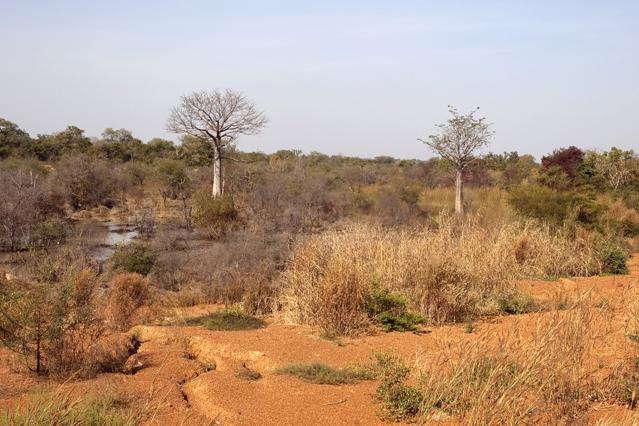 Kéran National Park